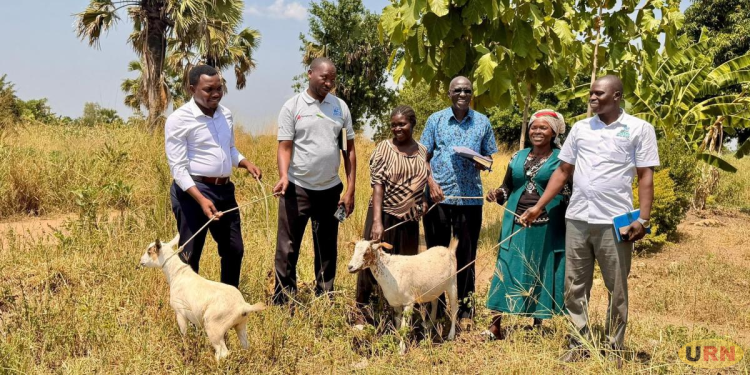PDM Changes Lives in Arua, but Farmers Still Struggle to Find Markets