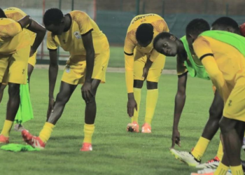 Uganda Cranes Friendlies Against Tanzania, Madagascar Cancelled Over Public Health Concerns