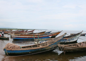 Lake Albert Fishermen Decry Tough New Fishing Rules
