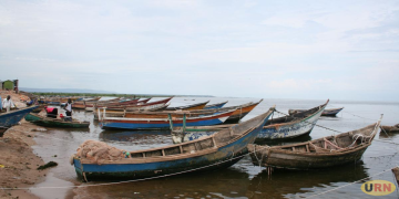 Lake Albert Fishermen Decry Tough New Fishing Rules