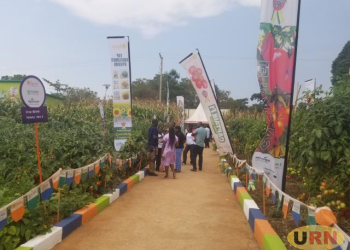 Exhibitors Demand Better Standards At Jinja Agricultural Show