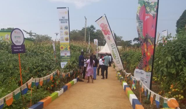 Exhibitors Demand Better Standards At Jinja Agricultural Show