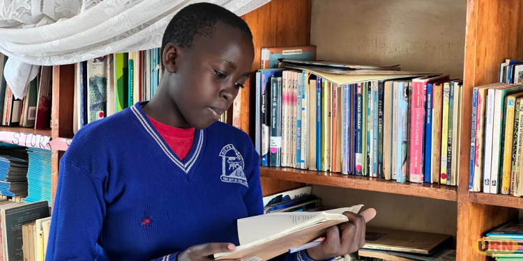 How One Public Primary School Is Fighting to Keep Its Library Alive