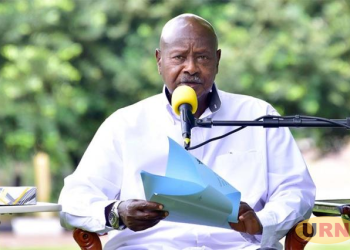 Cabinet Backs New Law to Streamline Government Vehicles Fleet Management