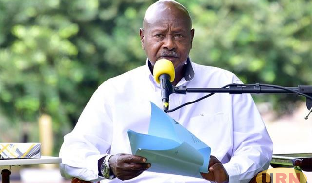 Cabinet Backs New Law to Streamline Government Vehicles Fleet Management