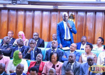 MPs Demand Urgent Action as Malaria Cases and Deaths Rise Among Schoolchildren