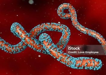 Uganda Refutes Claims of a Fresh Marburg Outbreak