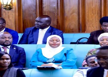 MPs raise concerns over electricity supply
