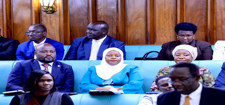 MPs raise concerns over electricity supply