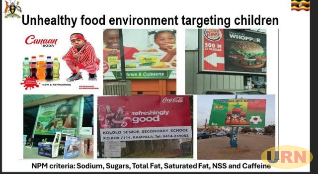 Government Launches Guide Against Unhealthy Processed Food