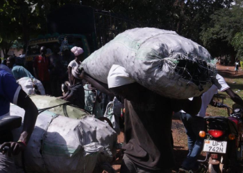 UPDF Bans Illicit Charcoal Imports From South Sudan