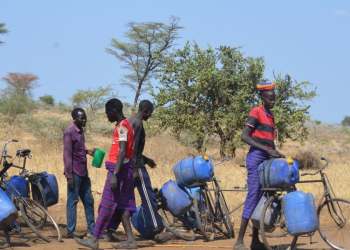 Moroto Brewers Seek Exemption From 3pm Alcohol Rule