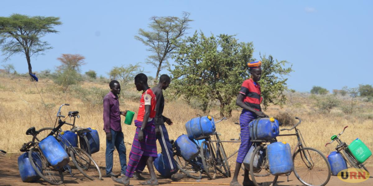 Moroto Brewers Seek Exemption From 3pm Alcohol Rule