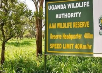 Ajai Wildlife Reserve to Receive 16 More Rhinos