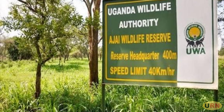 Ajai Wildlife Reserve to Receive 16 More Rhinos
