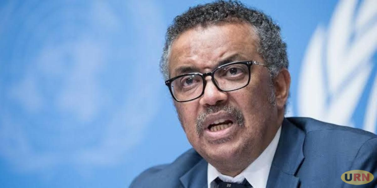 WHO Warns Pandemic Preparedness Is Losing Momentum as Ebola Spreads in DRC  Top story  Health  Politics