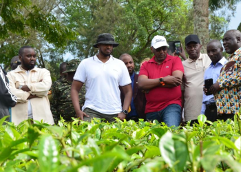 King Oyo’s Development Legacy