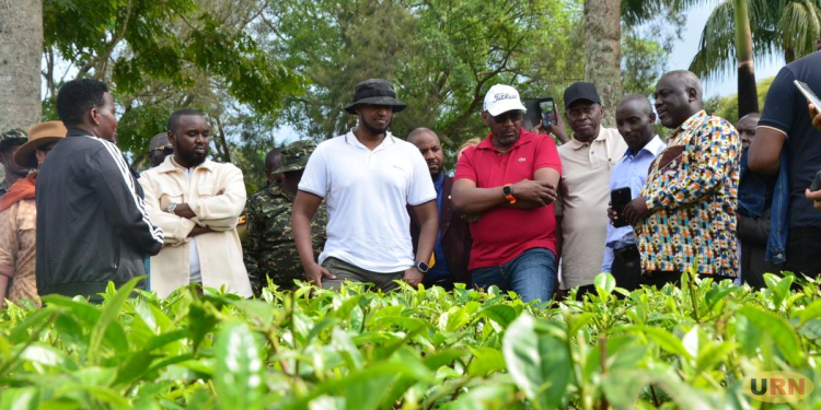 King Oyo’s Development Legacy