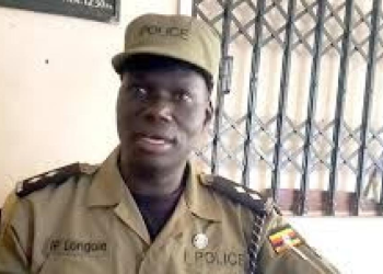 Body of 55-Year-Old Found in Garden After Suspected Suicide