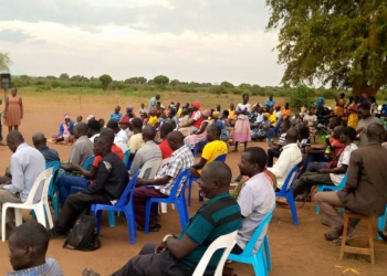 Livestock Export Hub Proposed in Kumi to Serve Teso, Karamoja
