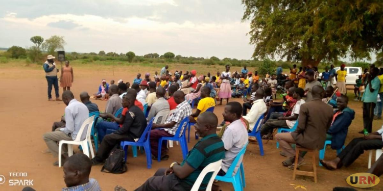 Livestock Export Hub Proposed in Kumi to Serve Teso, Karamoja