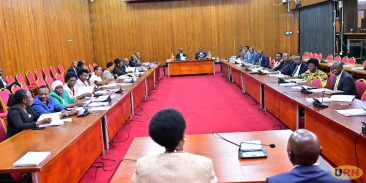 Parliament Scrutinises Nominees for Public Service Commission, FIA