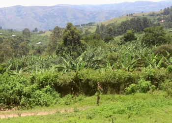 Rukungiri Leaders Renew Calls for Public Hospital