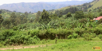 Rukungiri Leaders Renew Calls for Public Hospital
