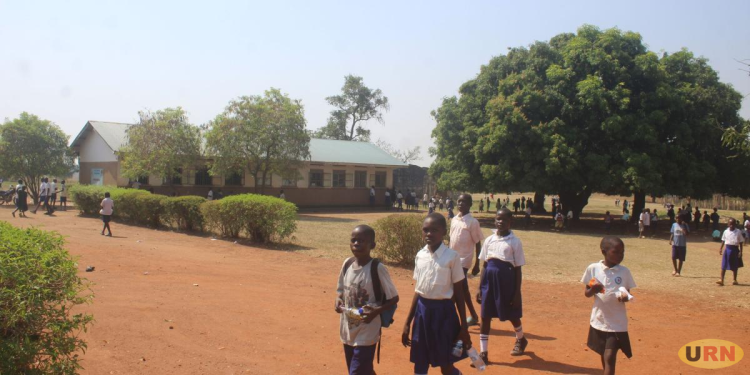 Kiryandongo Orders PTA Teachers Out of Government Schools