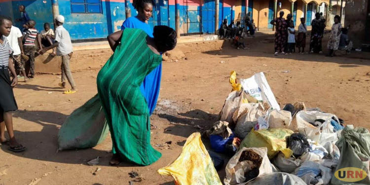 Bed Bugs Outbreak Hits Busia’s Homes, Residents Seek Help