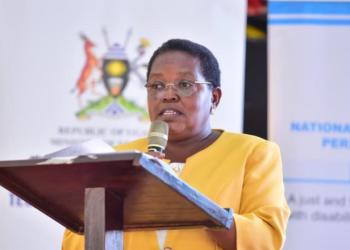 Inclusive Education Should Not Erase Special Needs Schools, Gov’t Told
