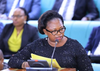 Parliament Committee to Scrutinise Suspension of Special Certificates of Title