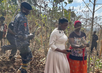 Ugandan Farmers Count Heavy Losses as Drought Withers Crops, Weakens Livestock Top story Agriculture