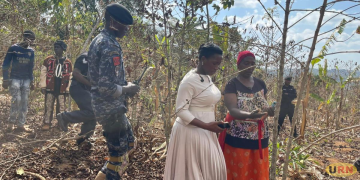 Ugandan Farmers Count Heavy Losses as Drought Withers Crops, Weakens Livestock Top story Agriculture