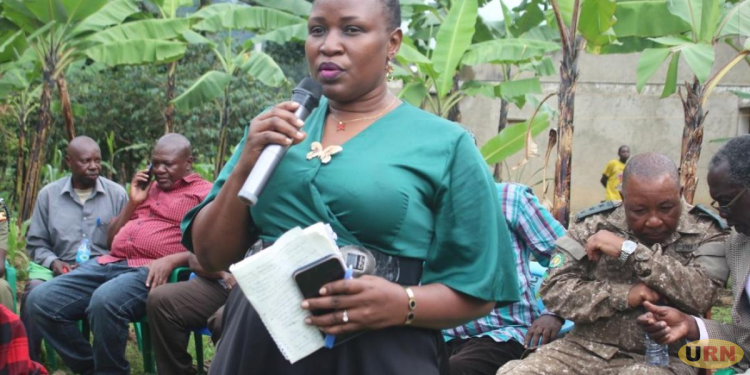 Bushiyi Trail to Mount Elgon Set for Rehabilitation