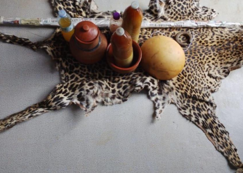 Acholi Cultural Institution Offers Royal Regalia for Tooro King’s Enthronement