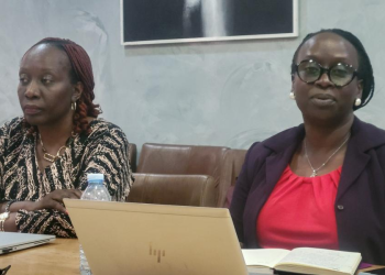 Advocates Call for Integrated Response to HIV, Teenage Pregnancy, SGBV