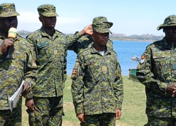 Illegal Fishing Gear Worth Ugx 6.5 Billion Destroyed in Namayingo