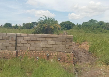 Soroti City Raises Concern Over Idle Industrial Park Land