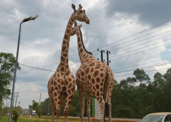 Mbale Businesses Tipped Opportunities Ahead Tourism Day