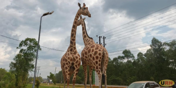 Mbale Businesses Tipped Opportunities Ahead Tourism Day
