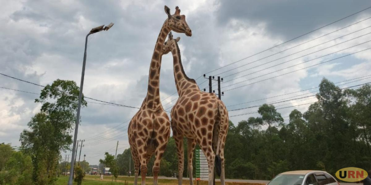 Mbale Businesses Tipped Opportunities Ahead Tourism Day