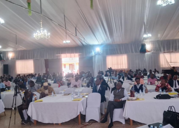PDM Secretariat Blames Politicians for Low Loan Recovery