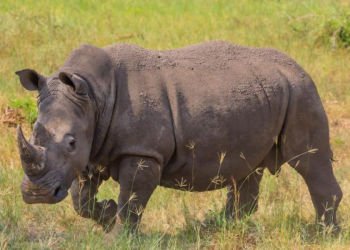 Government Targets US$5 Billion Tourism Receipts By 2030