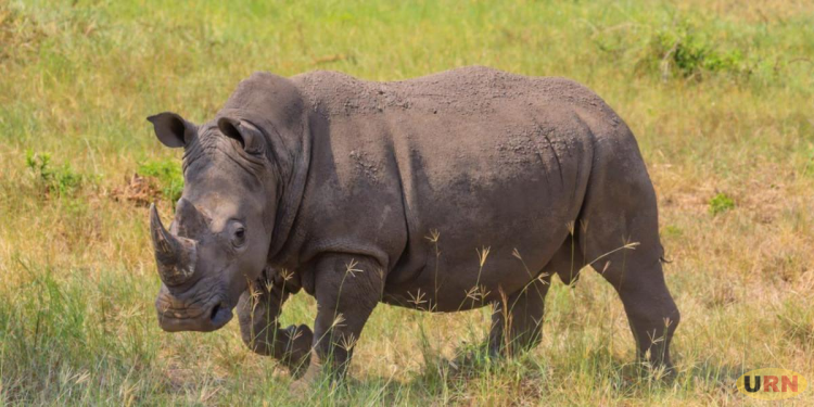 Government Targets US$5 Billion Tourism Receipts By 2030