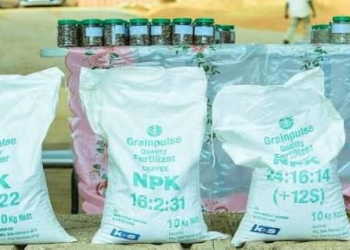 Fertilizer Crisis Renews Questions Over East Africa’s Farming Model