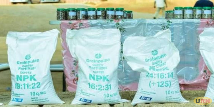Fertilizer Crisis Renews Questions Over East Africa’s Farming Model