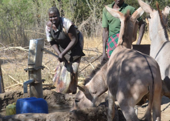 Moroto Residents Spend Nights Guarding Wells as Water Crisis Deepens