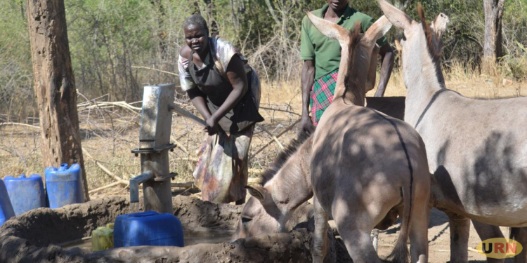 Moroto Residents Spend Nights Guarding Wells as Water Crisis Deepens