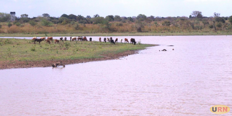 Karamoja Leaders Seek Innovative Solutions to Water Crisis